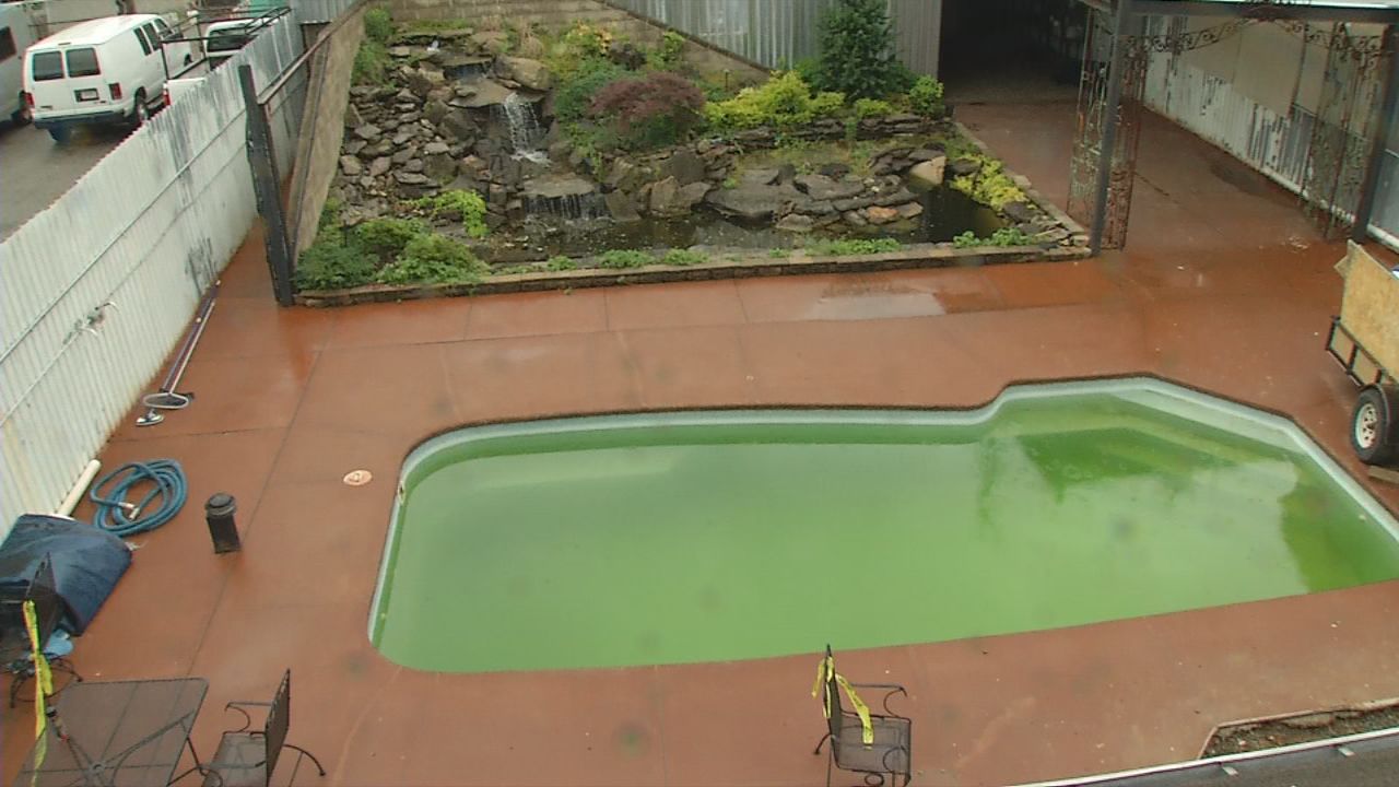 Buzz Advertising Pool